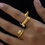 The Arc & Paw Collection